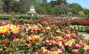 Victoria State Rose Garden